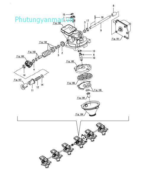 Truyền động cuộn C